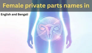 Female private parts names in English and Bengali