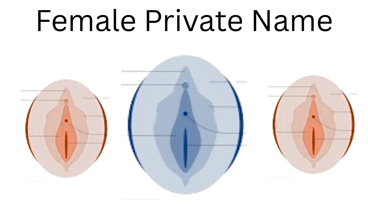 Female private parts names in English and Bengali.