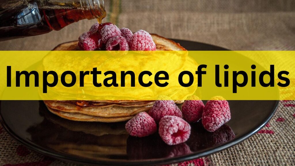 Importance of lipids in the human body?
