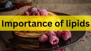 Importance of lipids in the human body?