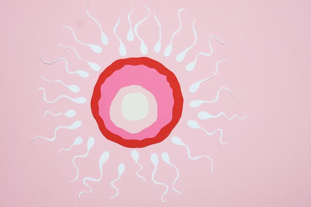 How to make sperm stronger for pregnancy naturally with food