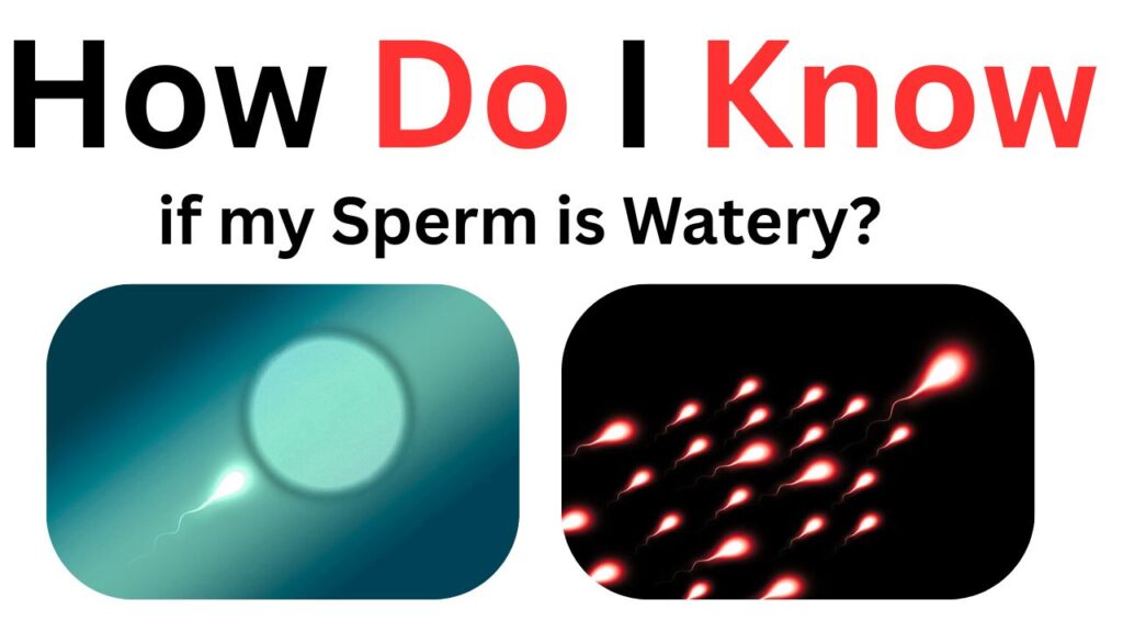 How do I know if my sperm is watery?