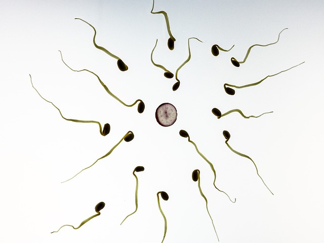 How do I know if my sperm is watery?