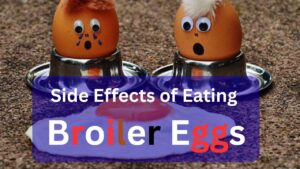 Side Effects of Eating Broiler Egg