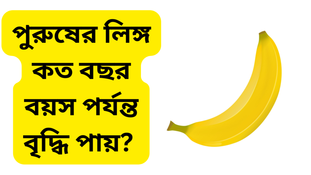 পুরুষের লিঙ্গ কত বছর বয়স পর্যন্ত বৃদ্ধি পায় 2