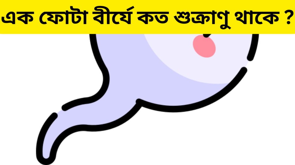 এক ফোটা বীর্যে কত শুক্রাণু থাকে