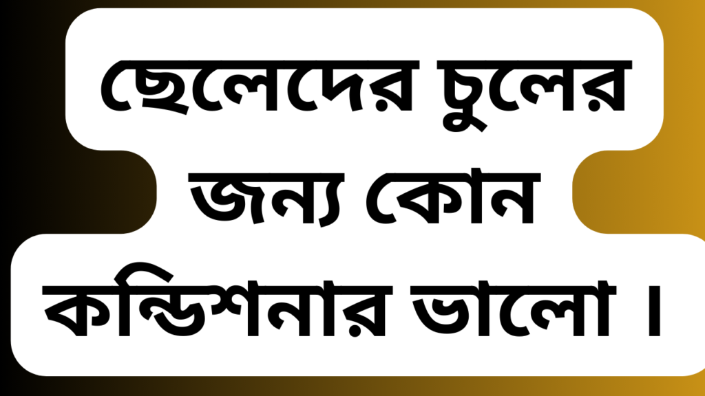 ছেলেদের চুলের জন্য কোন কন্ডিশনার ভালো ।