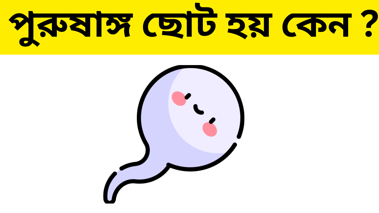 পুরুষাঙ্গ ছোট হয় কেন?