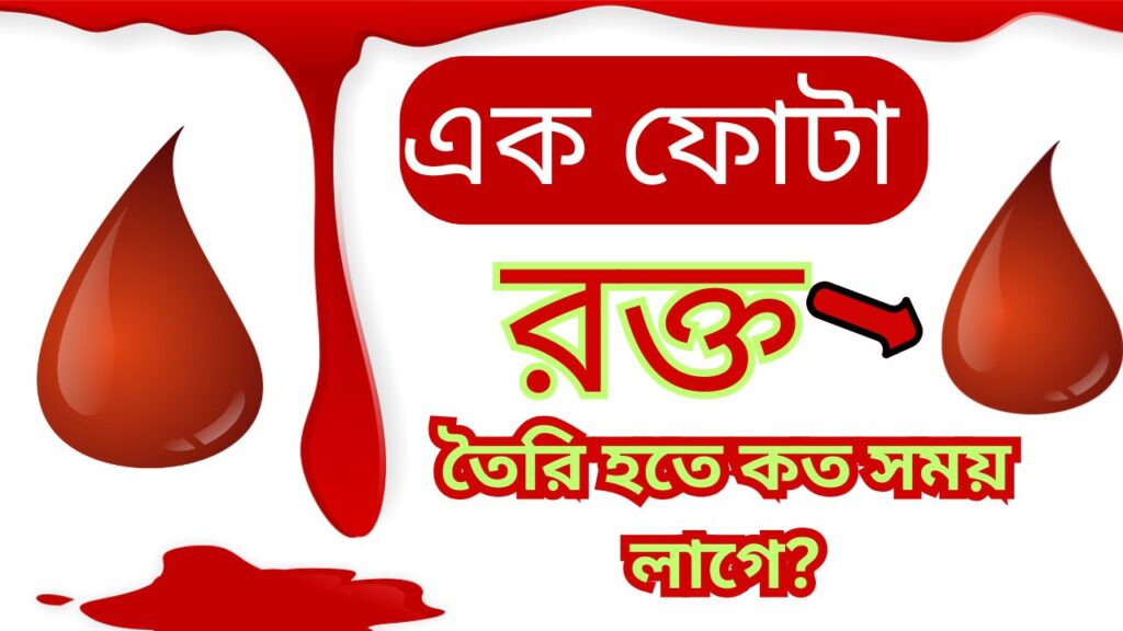 এক ফোটা রক্ত তৈরি হতে কত সময় লাগে