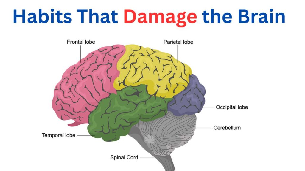 What to Do When Your Brain Is Not Working? Dr. Daniel Amen’s Proven Tips