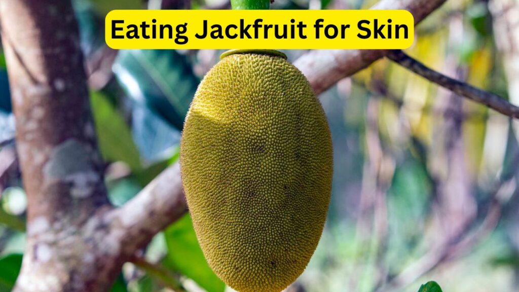 Benefits of Eating Jackfruit Seeds for Skin – 5 Natural Way to Get Glowing Skin