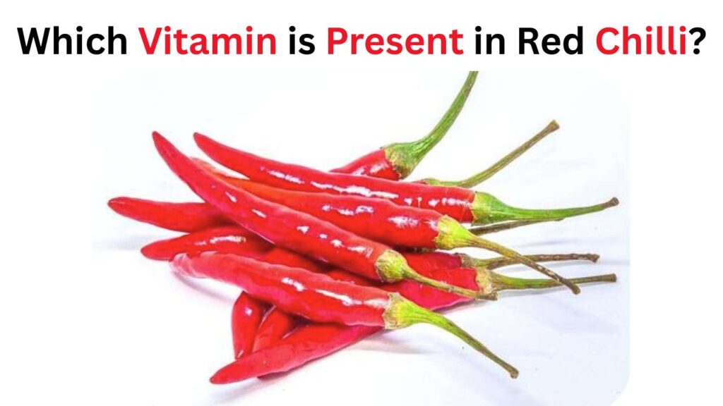 Which Vitamin is Present in Red Chilli? Which Vitamin