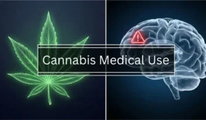 Cannabis Medical Use New Evidence Highlights Risks and Limited Benefits - Latest Health News